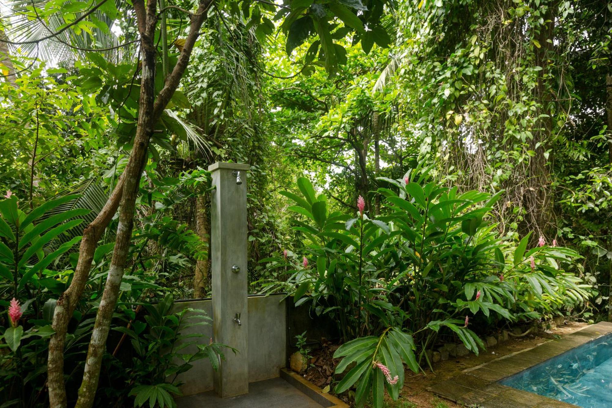 Ceylon Olive Galle Zewnętrze zdjęcie